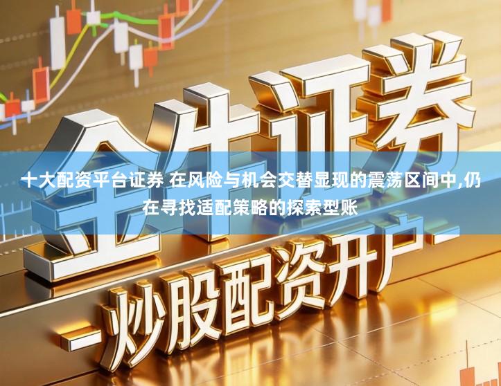 十大配资平台证券 在风险与机会交替显现的震荡区间中,仍在寻找适配策略的探索型账