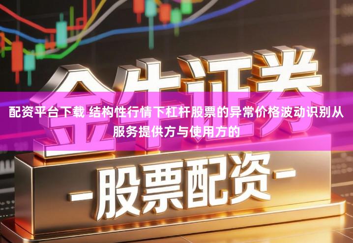 配资平台下载 结构性行情下杠杆股票的异常价格波动识别从服务提供方与使用方的