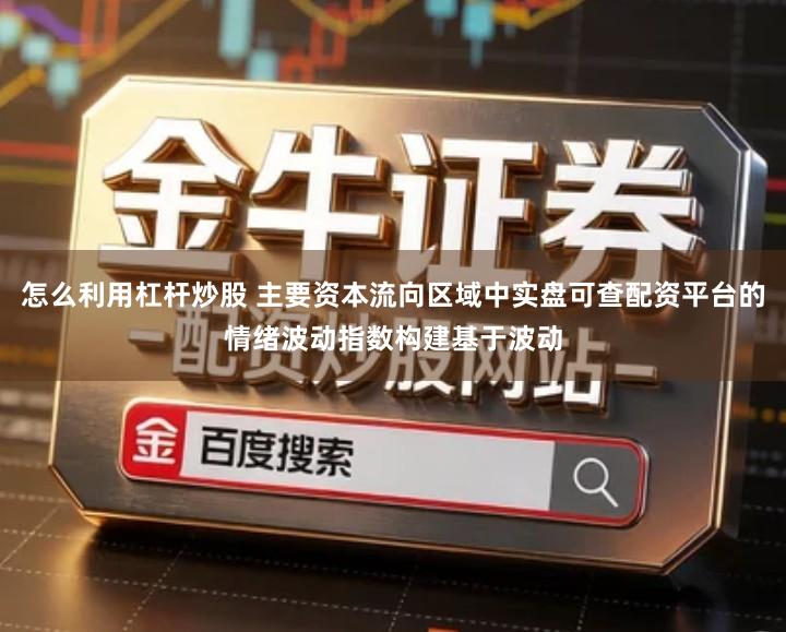 怎么利用杠杆炒股 主要资本流向区域中实盘可查配资平台的情绪波动指数构建基于波动